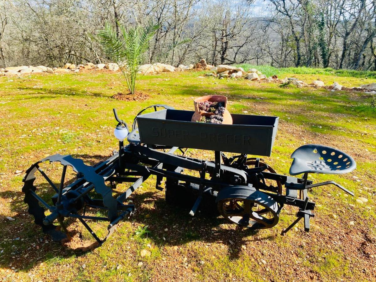Séjour insolite ancien four à pain Le Prestadou Arcambal Esterno foto
